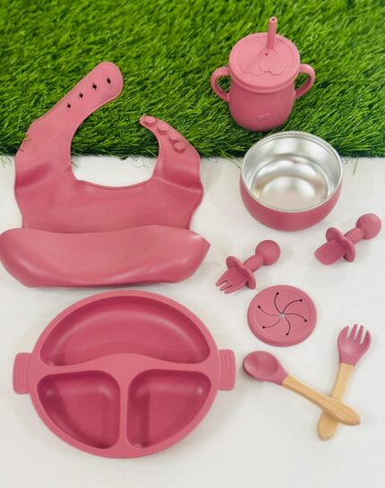 Premium Silicone Baby Feeding Set, Complete 9-Piece Baby Led Weaning Set