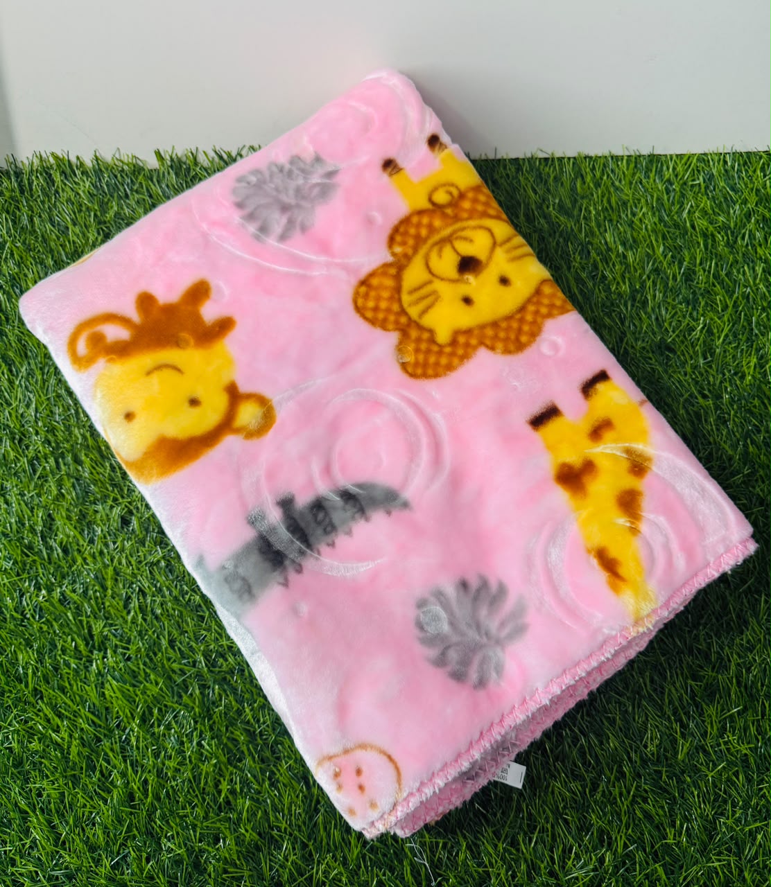 mink blanket soft (2)